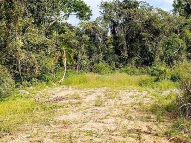 #433 - Terreno em condomínio para Venda em Ubatuba - SP - 2